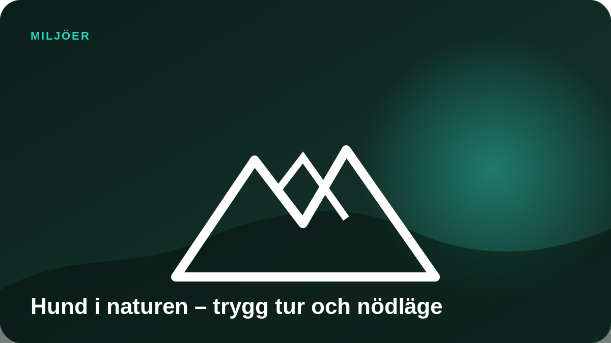 Illustration: Hund i naturen – trygg tur och nödläge